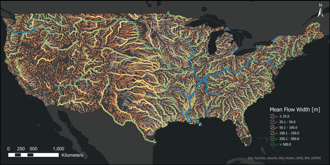 Mean-flow width across CONUS rivers